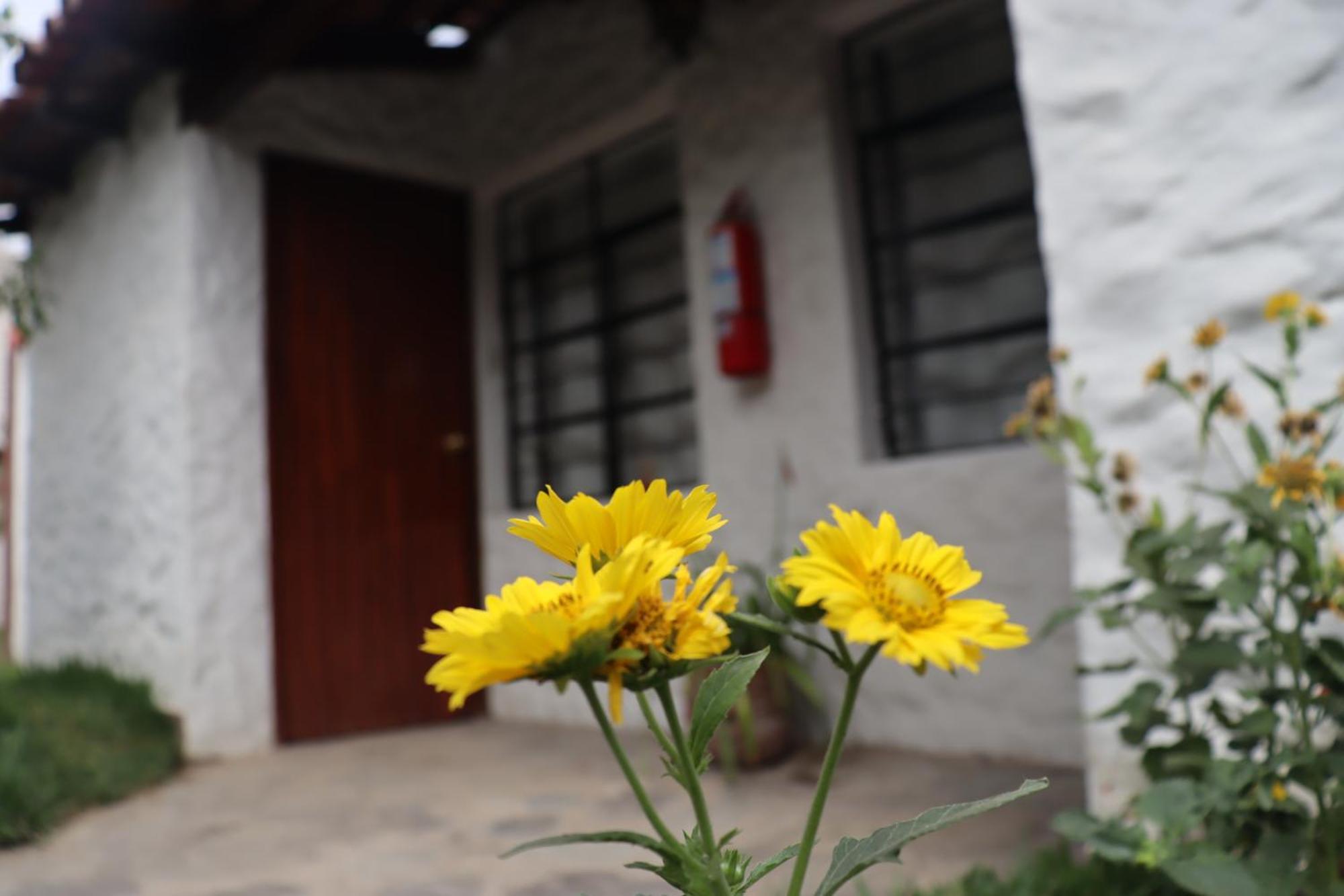 Los Andes - Restaurant & Bungalows เซียเนกียา ภายนอก รูปภาพ