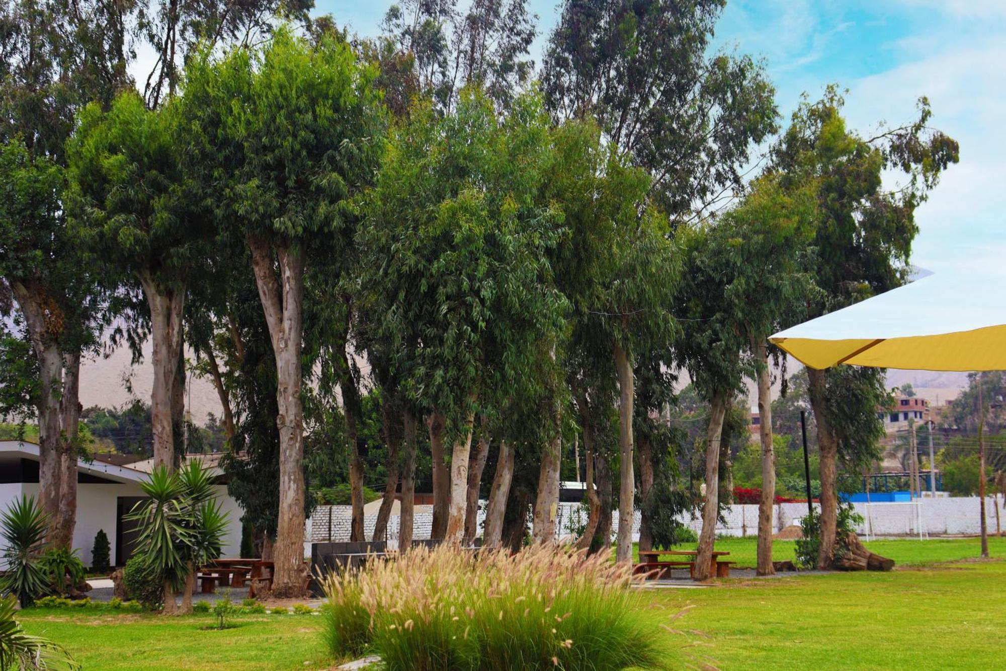 Los Andes - Restaurant & Bungalows เซียเนกียา ภายนอก รูปภาพ