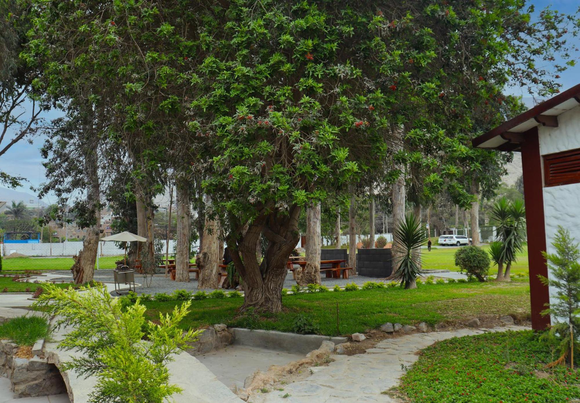 Los Andes - Restaurant & Bungalows เซียเนกียา ภายนอก รูปภาพ